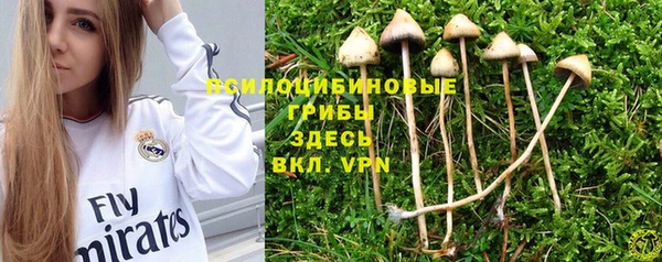 эйфоретик Белокуриха