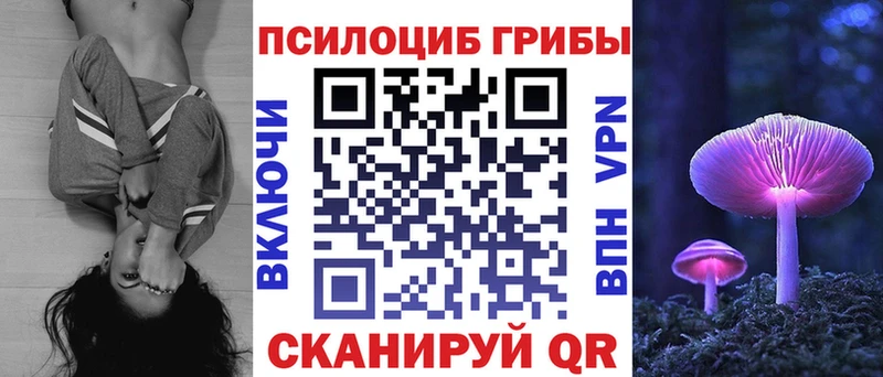 купить наркотики сайты  Мглин  Галлюциногенные грибы прущие грибы 