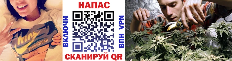 blacksprut маркетплейс  что такое наркотик  Мглин  Конопля тримм 